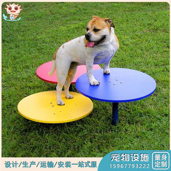 專業(yè)寵物搖馬 戶外寵物搖馬 室外寵物搖馬定制廠家——樂圖無動(dòng)力游樂設(shè)備